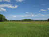 IMG_3162.jpg (476977 bytes)