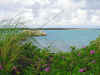 Bahamian Dream.jpg (430516 bytes)